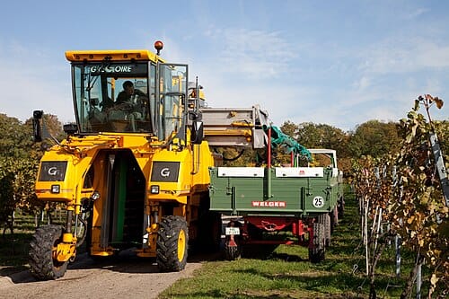 Gregoire Grape Harvester