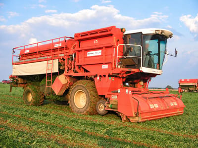 BCMH Peas Harvester